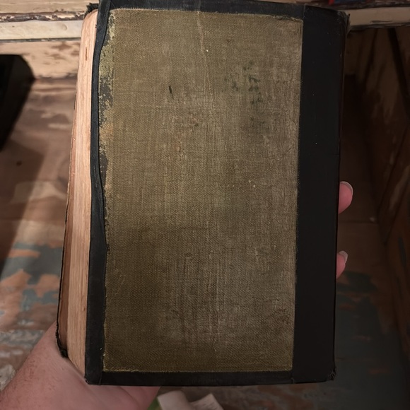 1920s book The Bobbsey Twins in the Great West - Picture 5 of 8